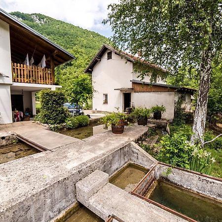Bihać Eko House Dobrenica 빌라 외부 사진