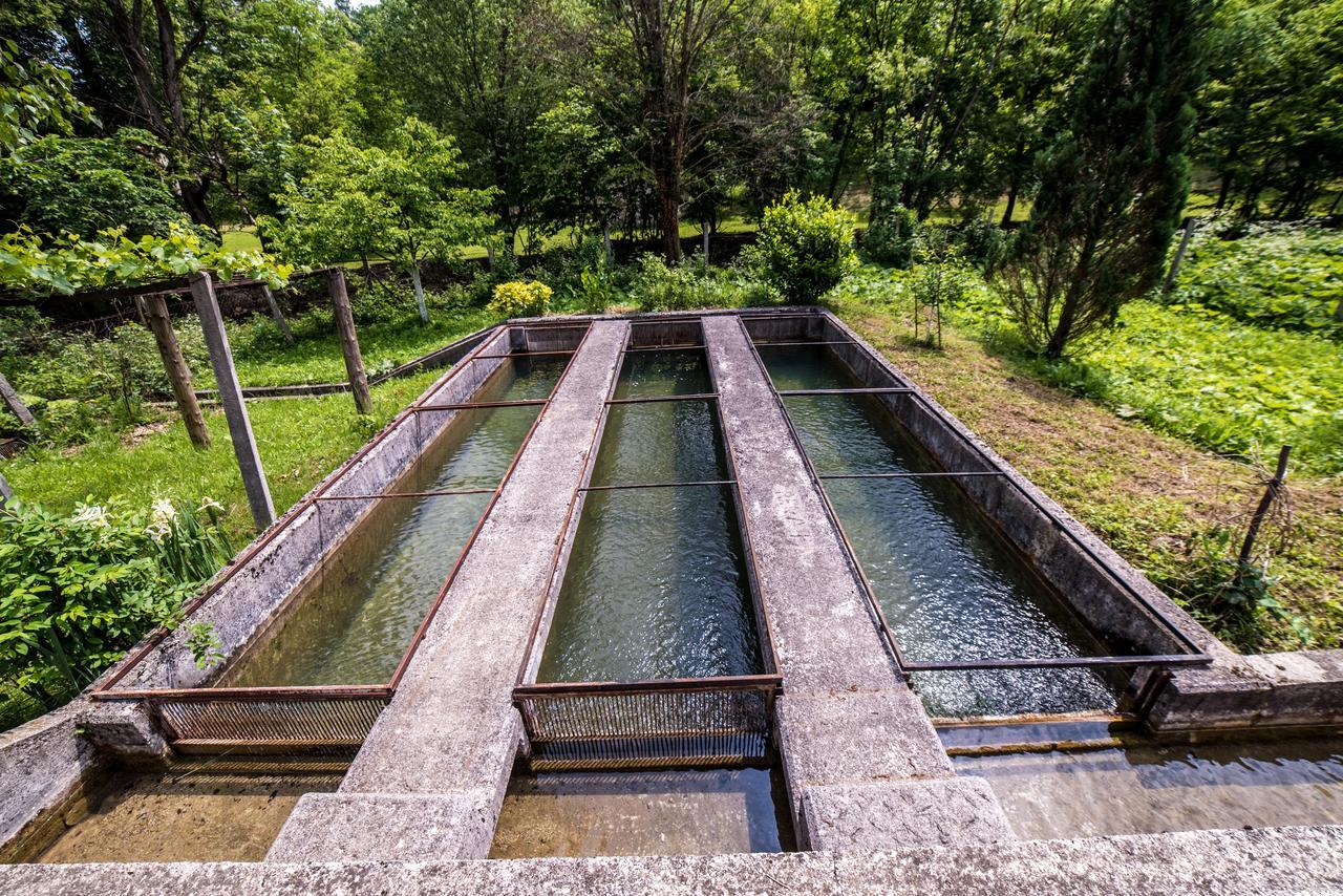 Bihać Eko House Dobrenica 빌라 외부 사진