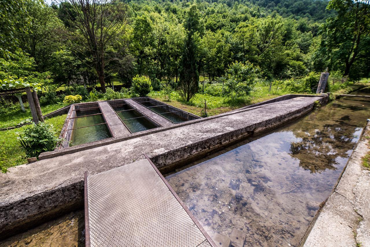 Bihać Eko House Dobrenica 빌라 외부 사진