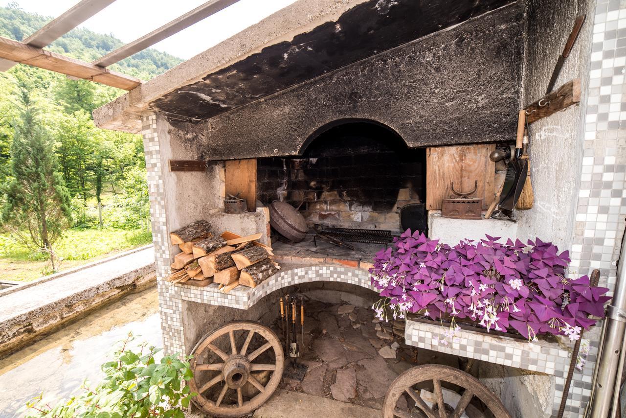 Bihać Eko House Dobrenica 빌라 외부 사진