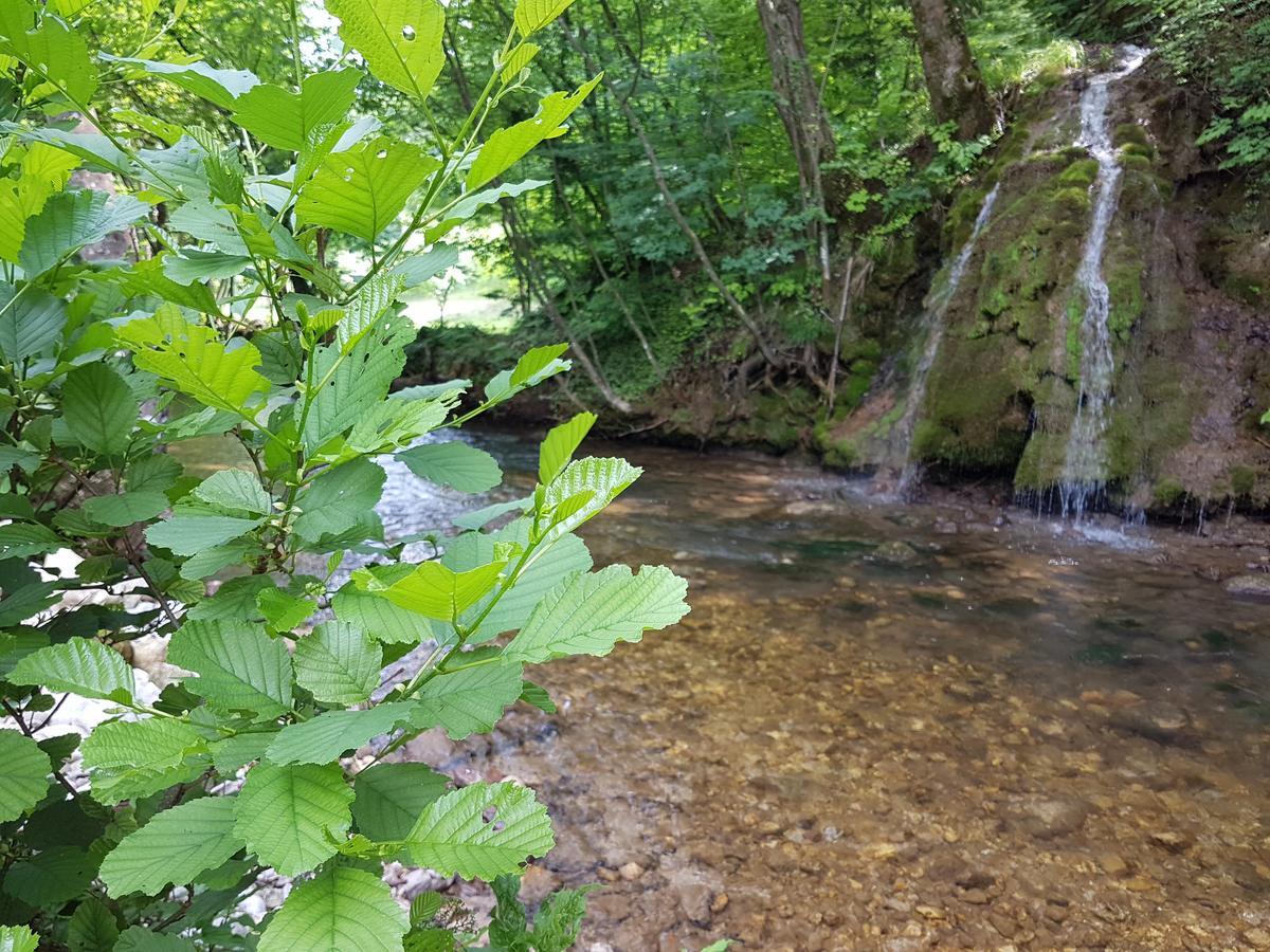Bihać Eko House Dobrenica 빌라 외부 사진